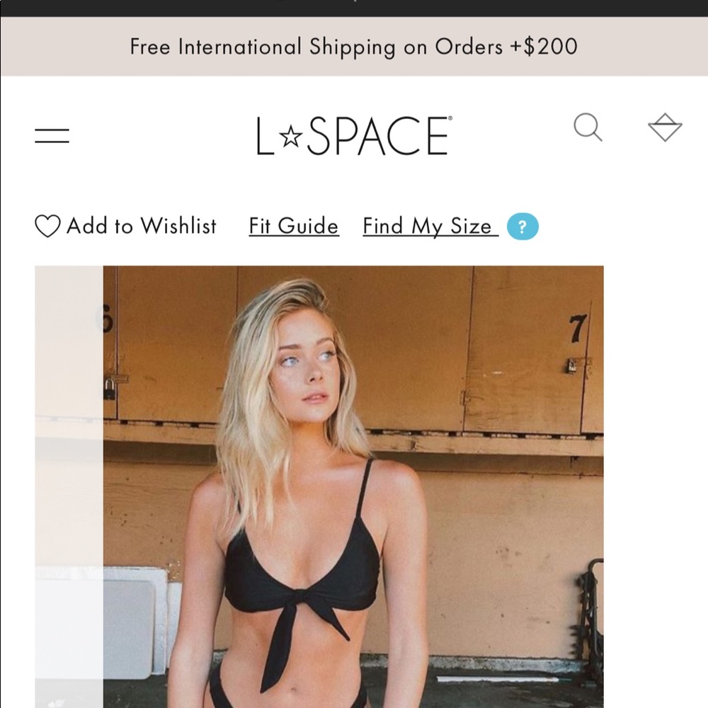 L*Space Bathing suit